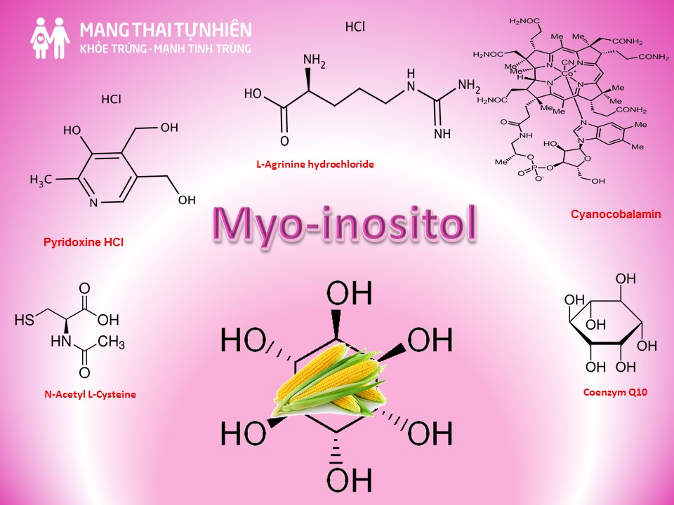 thành phần myo inositol có trong thuốc pregnastiol
