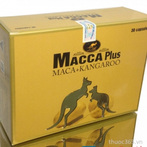 MACCA PLUS