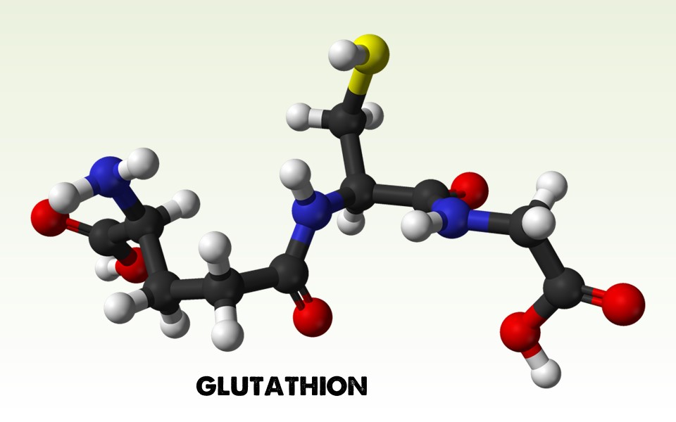 thành phần Glutathion 