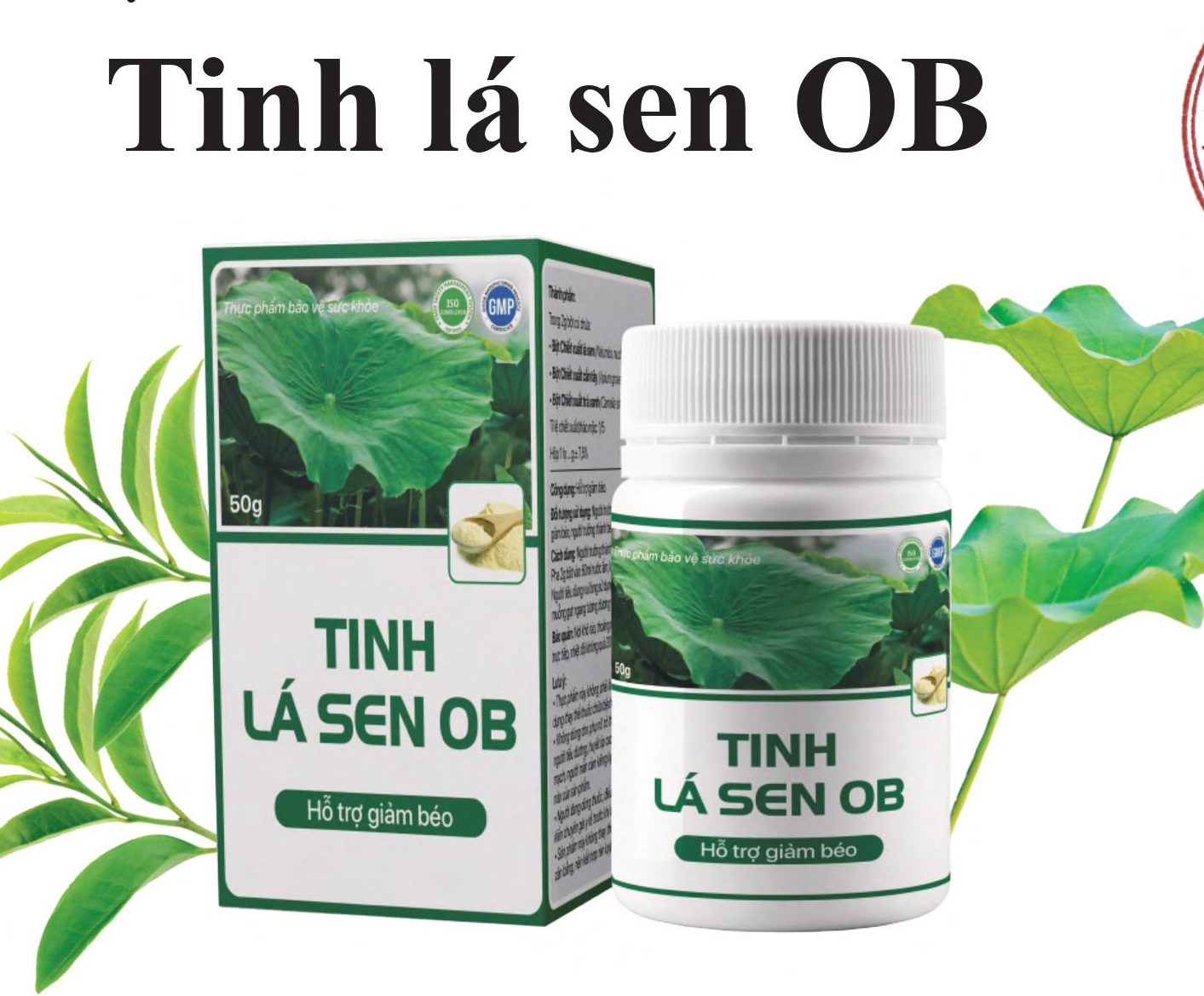 TINH LÁ SEN OB